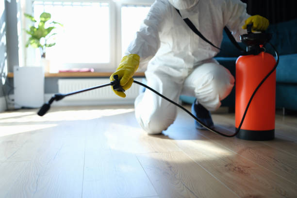 Reliable Hoarding Cleanup contractor in Pittstown, NJ by Crime Scene Cleaner Online